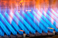 Appleton gas fired boilers
